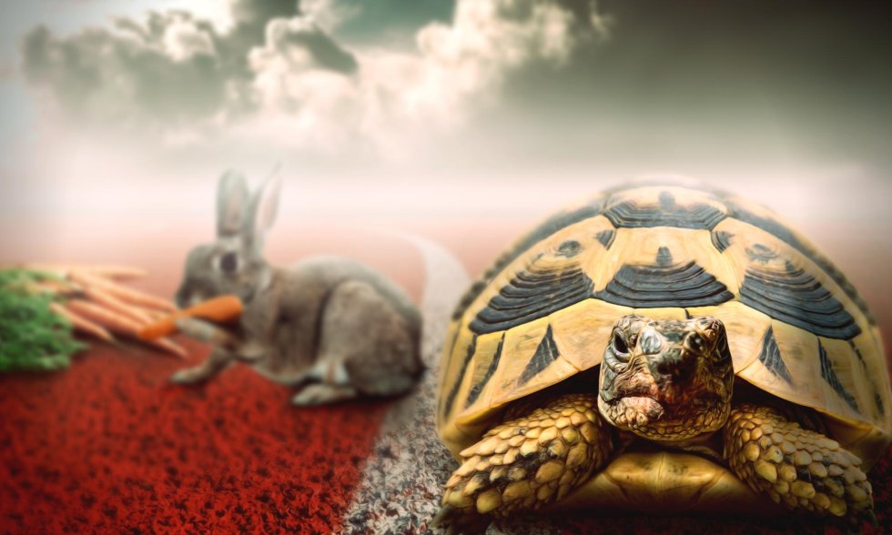 hase-schildkröte-rennen-quiz-zu-redewendungen