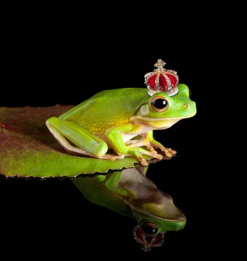 Froschkönig