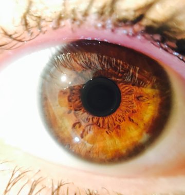 Menschliches Auge