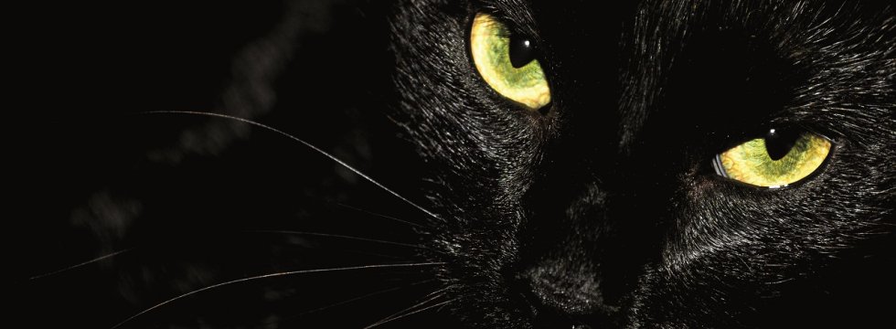 Schwarze Katze mit grünen Augen