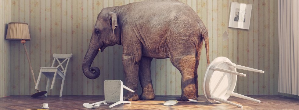 Elefant im Prozellanladen