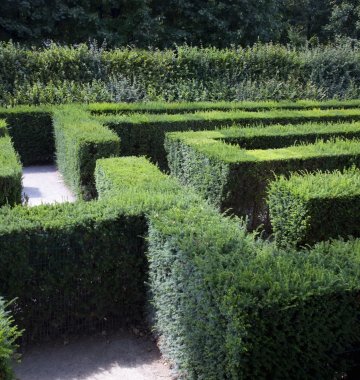 Irrgarten