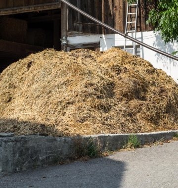 misthaufen-bauernhof-shite